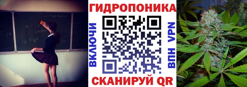 Где можно купить наркотики Буй Альфа ПВП Кетамин Амфетамин Канабис ГАШИШ Меф мяу мяу