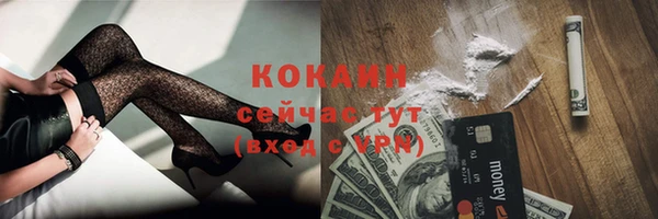 меф Долгопрудный