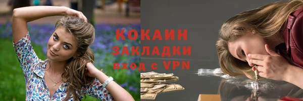 молекула духа Бронницы