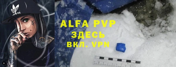 индика Бугульма
