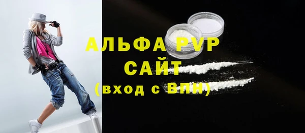 индика Бугульма