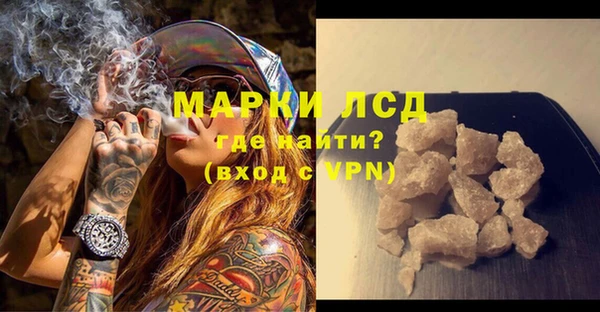 индика Бугульма