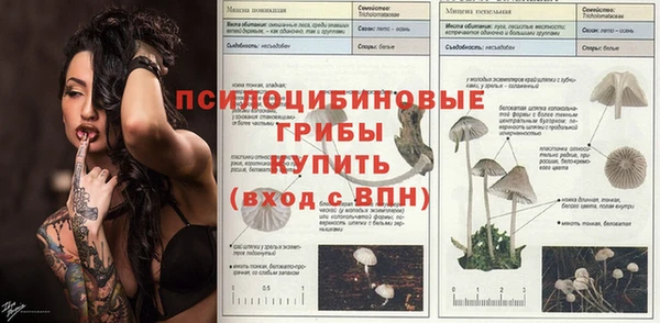 индика Бугульма