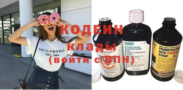 индика Бугульма