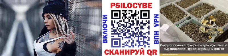 mega маркетплейс  shop какой сайт  Галлюциногенные грибы Psilocybe  Буй 